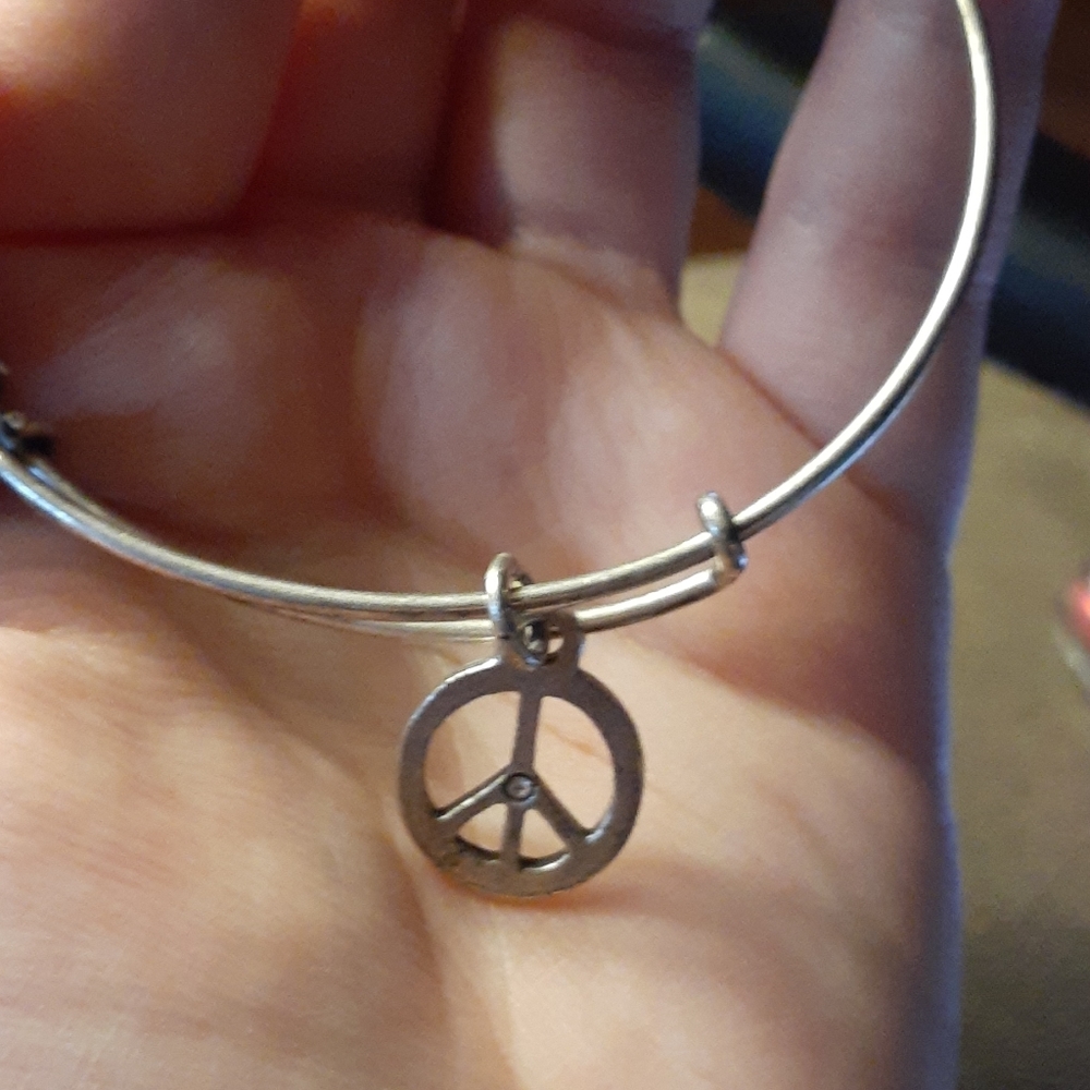 Alex and Ani bracelet